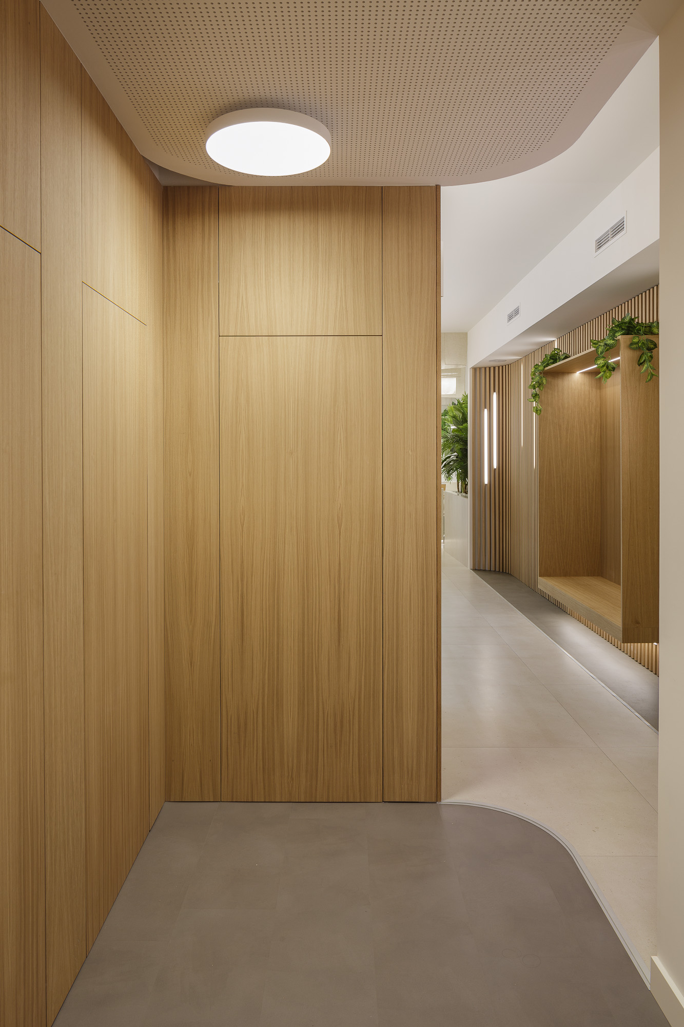 Detalle de puerta oculta en panelado de madera